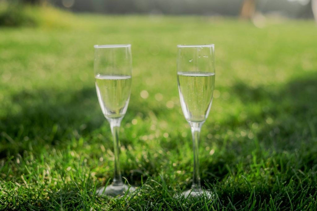 Why Your Picnic Deserves Outdoor Wine Glasses with Stem (And How to Choose the Right Ones)