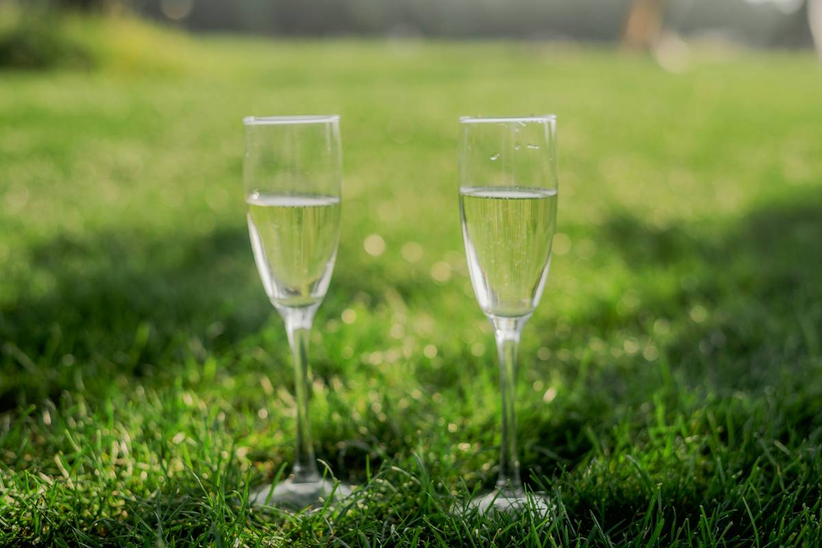 Why Your Picnic Deserves Outdoor Wine Glasses with Stem (And How to Choose the Right Ones)