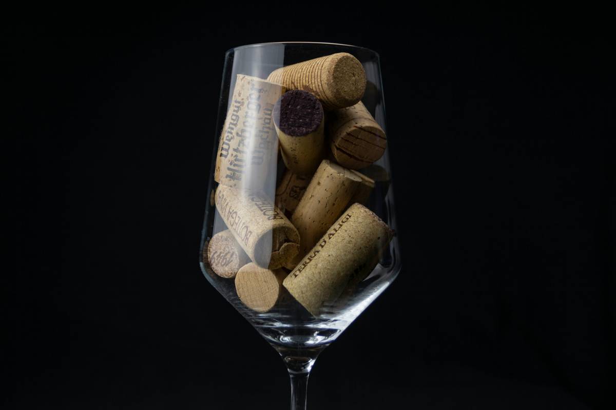 Why Your Picnic Wine Keeps Getting Warm—And Where to Buy the Best Outdoor Wine Glasses Canada Has to Offer
