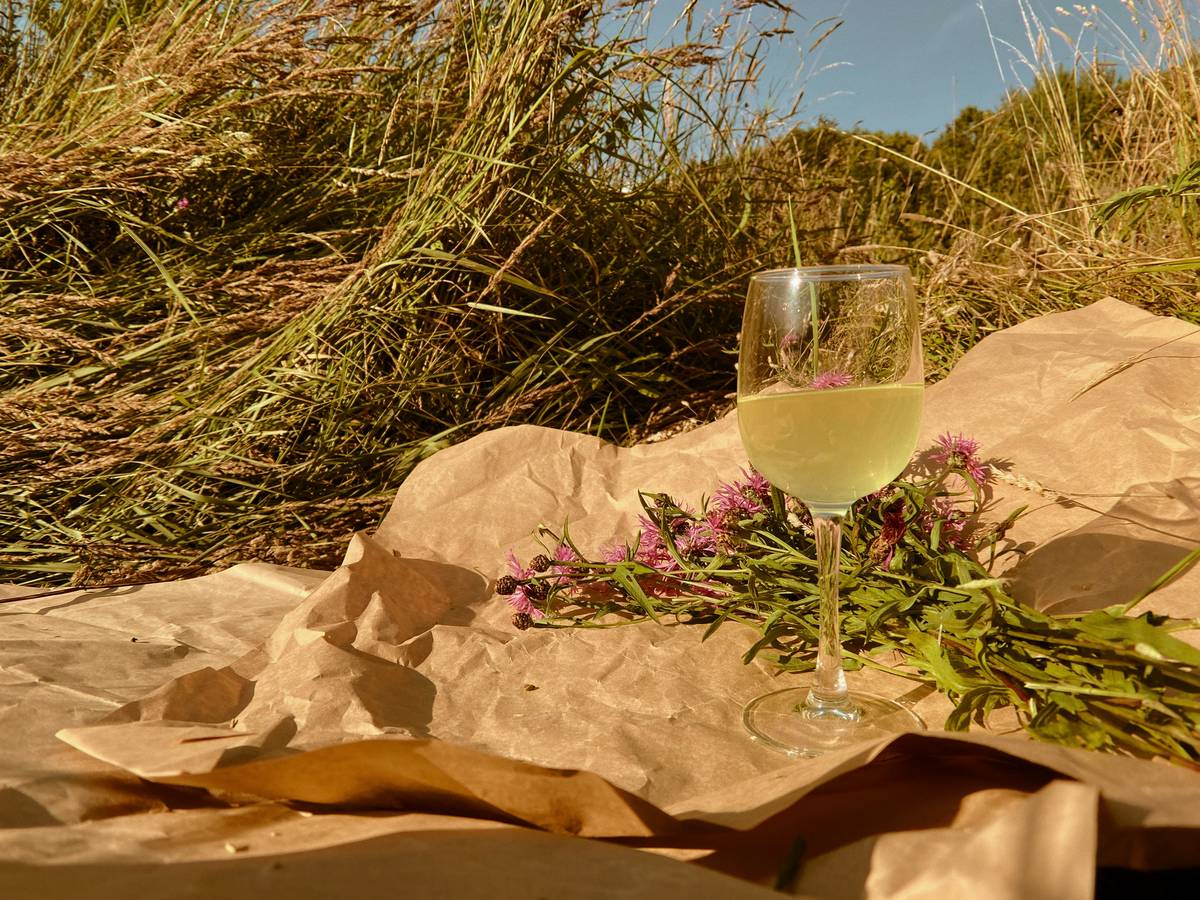 Comparison of traditional wine glass vs insulated wine cup with stem on a picnic table